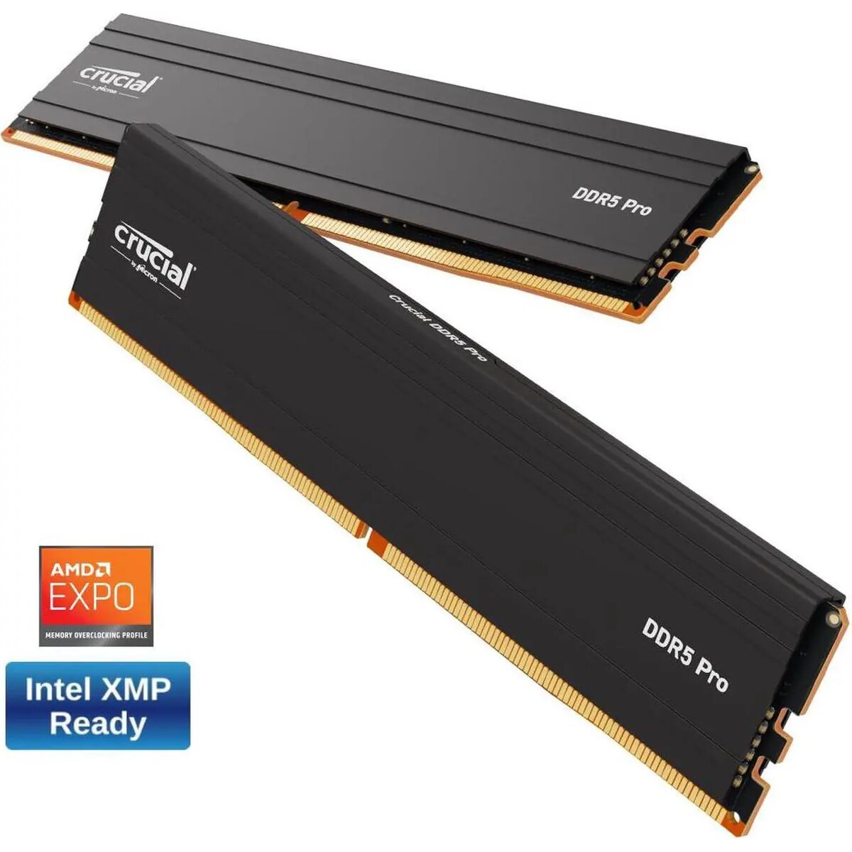 Pro 32GB (2x16) DDR5 5600